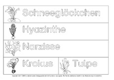 Frühlingsblüher-nachspuren.pdf